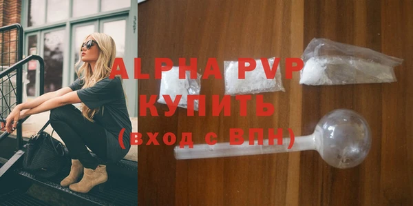 стафф Богданович