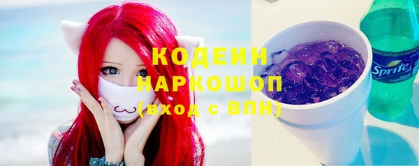 хмурый Богородицк