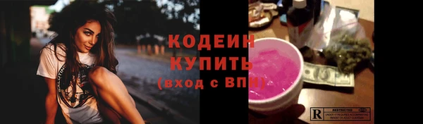 таблы Гусев