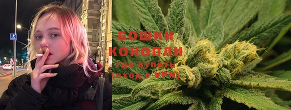 стафф Богданович