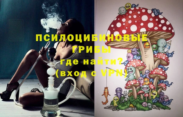 стафф Богданович