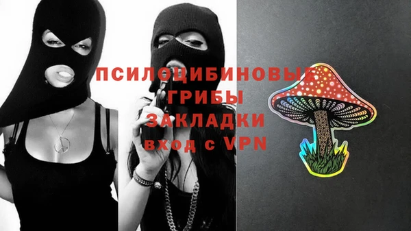 прущая мука Бородино
